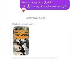 رضایت مشتری پکتو